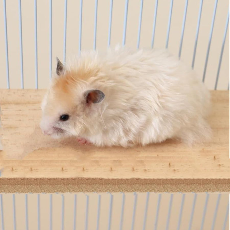 3 Pack Bird Perch Stand 12.4×5.3 Inch- Rectangular Wood Platform Wood Perch Stand Board Shelf for Parrot, Lovebird, Hamster, Guinea Pig, Chinchilla - PawsPlanet Australia