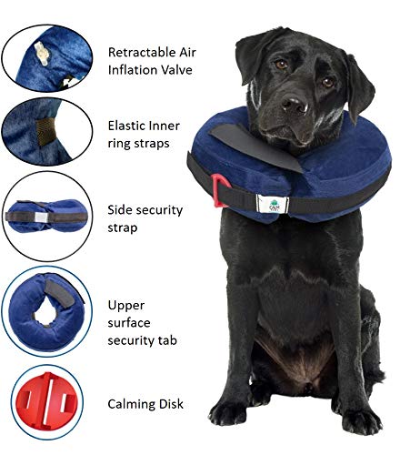 Protective Inflatable Collar Large w/Dog Calming Disc - PawsPlanet Australia