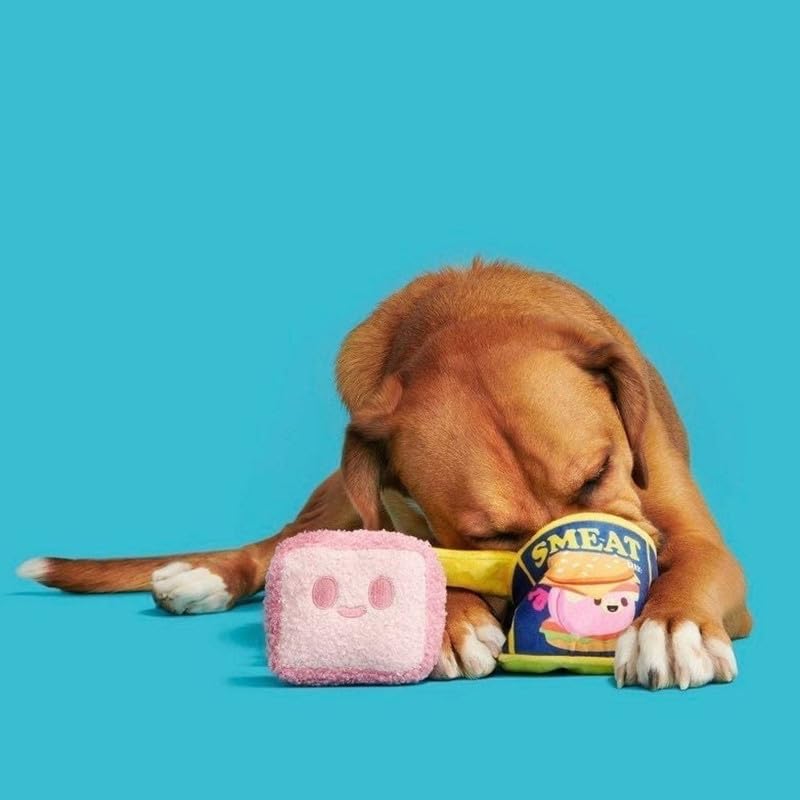 Barkbox Canned Smeat Squeaky Dog Toy - Plush Material, 2-Piece, Durable, Machine Washable, XS-S, Crinkle and Squeaker - PawsPlanet Australia