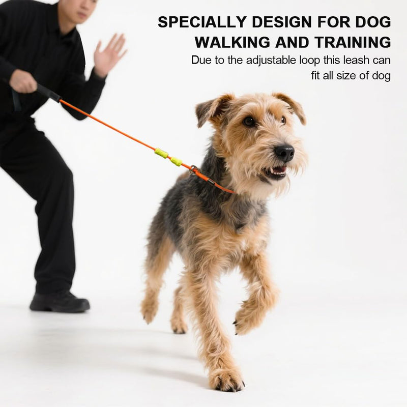 Slip Lead Dog Leash,Training Leash,No-Pull Slip Lead and Collar,Heavy Duty&Durable,4ft Thin Slip Lead for Small,Medium and Large Dogs (Blue1.2M Long) 4 ft BLUE - PawsPlanet Australia
