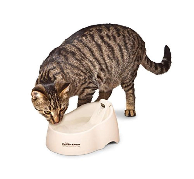 Petmate Deluxe Fresh Flow Cat, Bleached Linen, 50 Oz, 1 Count (Pack of 1) Small - PawsPlanet Australia