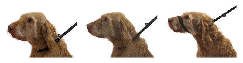 UniWalker Figure of 8 Training Lead for dogs that pull. With collar strap included. 3 leads in 1. Black