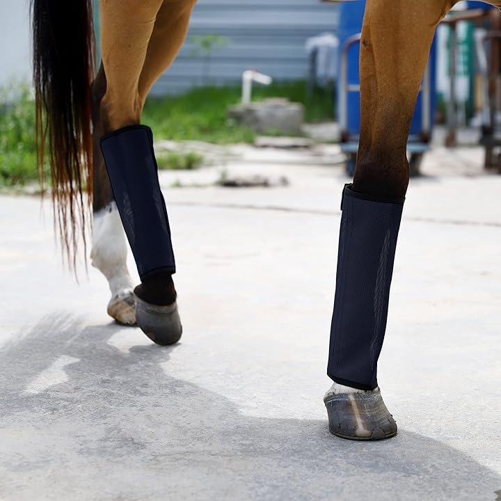 Horse Fly Leggings Boots – Set of 4 UV-Protective Stretch Mesh Fly Boots with Stays, Full?Leg Coverage (Navy Blue) - PawsPlanet Australia