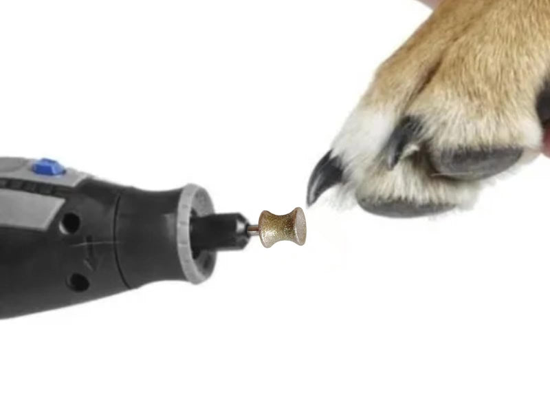 Dog Nail Grinder Replacement Head - Diamond Dog Nail Grinder Bit - Diamond Rotary Nail Grinder Bit - Professional Grooming Painless Trimmer Tools Attachment for Dog Nails - PawsPlanet Australia