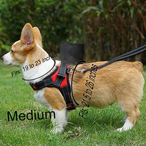 Alluring Pet Friends Fur Ever Dog Harness No Pull No Choke Adjustable Vest, Car Safety, Easy Control for Walking Hiking, Durable, Breathable - Small, Medium, Large, XL Dog & Puppy (Med, Black) Med - PawsPlanet Australia