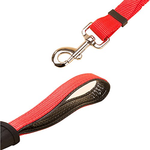 Creation Core 1 Set Adjustable Dog Seat Belt & Dog Collar with Elastic Handle Soft Padded Premium 2 in 1 Reflective Pet Leash - PawsPlanet Australia