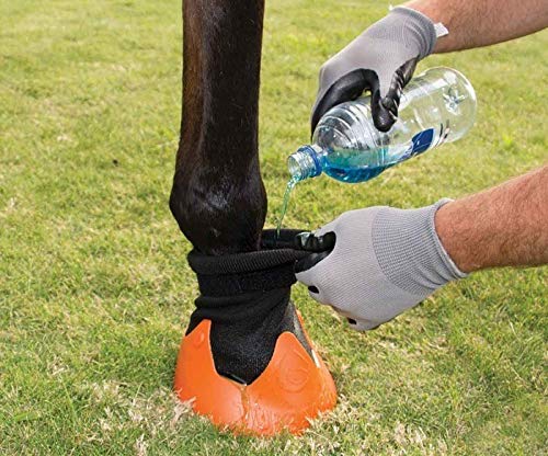 Shires Tubbease Hoof Sock Medium Red - PawsPlanet Australia