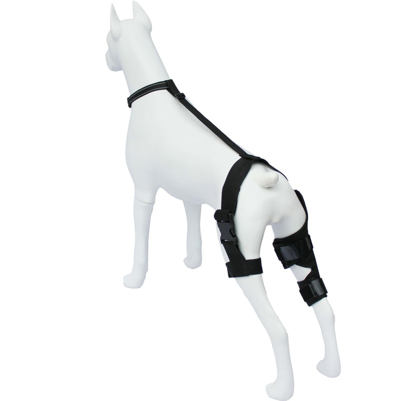 Dog Knee Brace for Hind Leg Support, ACL Recovery & Joint Pain Relief, Adjustable Compression Sleeve with Harness，Universal for Both Left and Right Legs (XS) XS