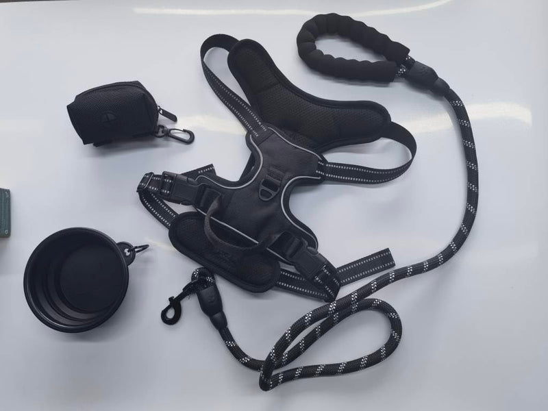 Enorme Dog Harness with Leash & Poop Bag Container + 350 ML Bowl, No-Pull Pet Harness Adjustable Soft Padded Dog Vest Reflective Oxford Vest with Easy Control Handle. (Black, Small) Black - PawsPlanet Australia