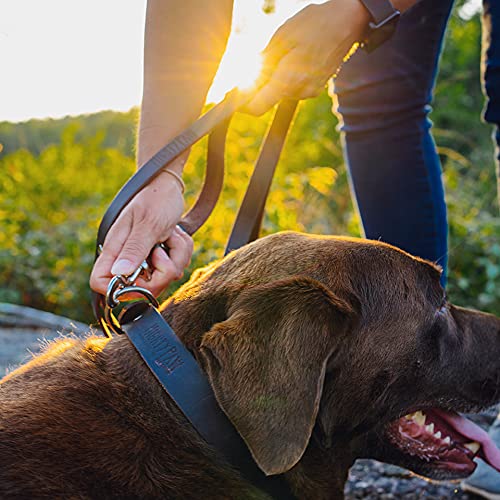 Mighty Paw Leather Dog Leash | 5 ft Leash Super Soft Distressed Real Genuine Leather- Premium Quality, Modern Stylish Lead. Perfect for Small, Medium and Large Pets Lite 1 - 30 lbs Brown - PawsPlanet Australia