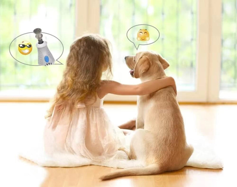 Diamond Rotary Nail Grinder Bits for Dog-Dog Nail Grinder Replacement Heads-Replaced Dog Nail Grinder Wheel- Pet Nail Grinder Attachment 2-Pack - PawsPlanet Australia