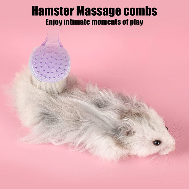 2 Pack Hamster Brush, Guinea Pig Massage Combs, Hedgehog Cleaning Supplies - Purple - PawsPlanet Australia