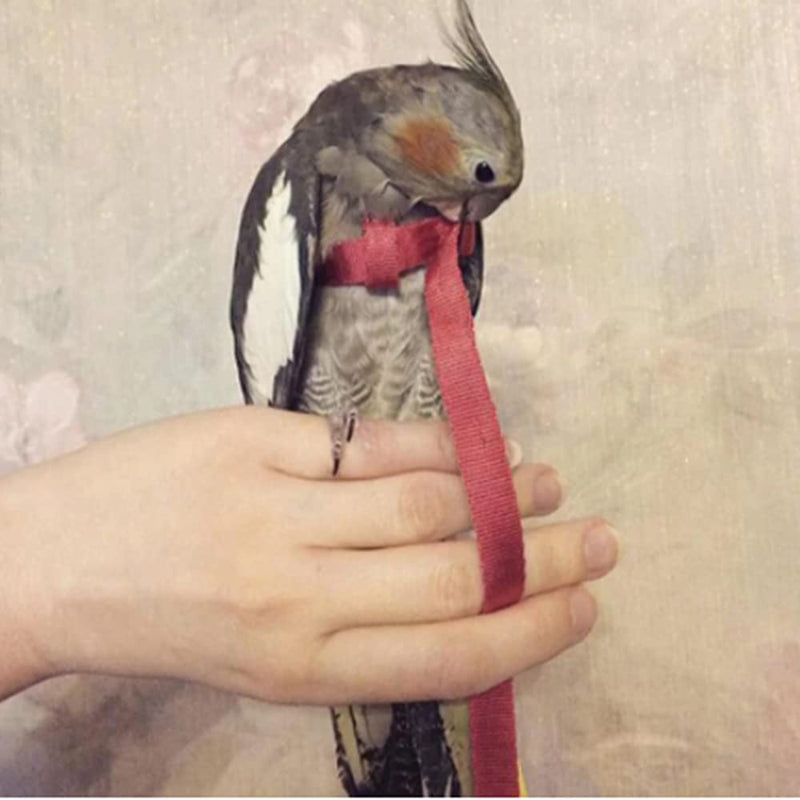 Adjustable Birds Harness and Leash Parrot Harness Leash Training Supplies Pet Anti-bite Outdoor Flying Rope for Conures Budgerigar Lovebird Cockatiel Mynah (S, Red) Small - PawsPlanet Australia