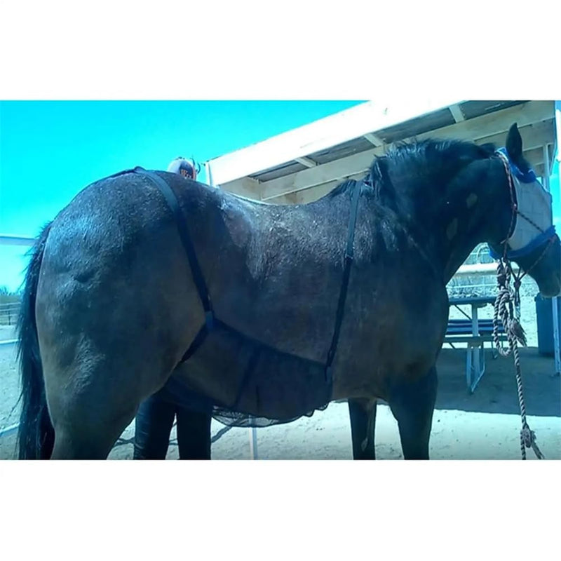 Horse Fly Sheet, Fly Sheet Belly Guard, Horse Ride Fly Sheet Stretch Mesh Rug, Horse Belly Guard for Riding Stable Setting, Mesh Belly Protector with Adjustable Straps As Picture Show - PawsPlanet Australia