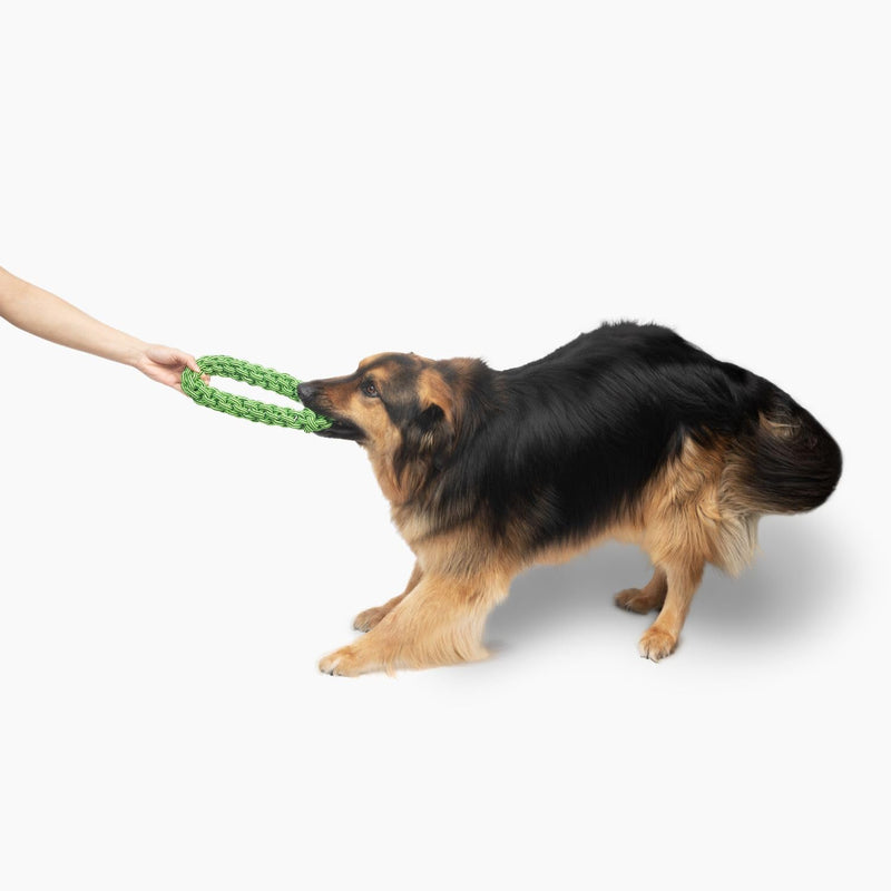 Jolly Pets TIK-Tak-Tugzz Small/Medium O Rope Dog Toy - PawsPlanet Australia