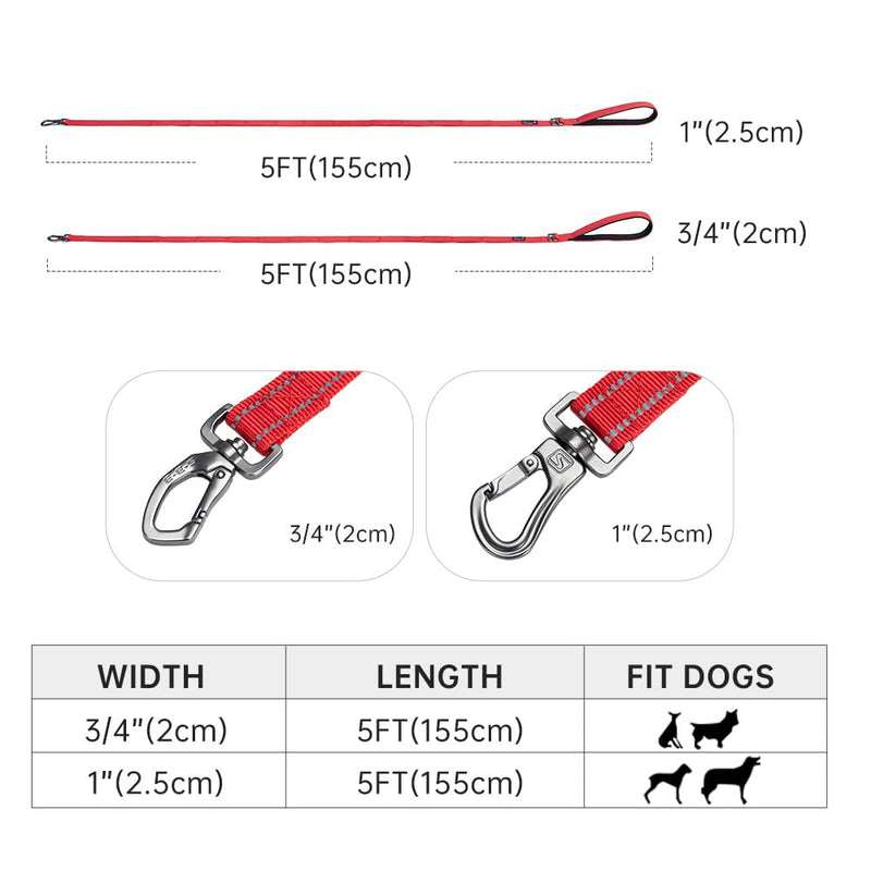 EXCELLENT ELITE SPANKER Double Layer Reflective Nylon Dog Leash Padded Handle 5 FT Nylon Dogs Leashes for Walking Training Lead for Small & Medium Dogs(Light Blue) 5ft * 3/4" Light Blue - PawsPlanet Australia