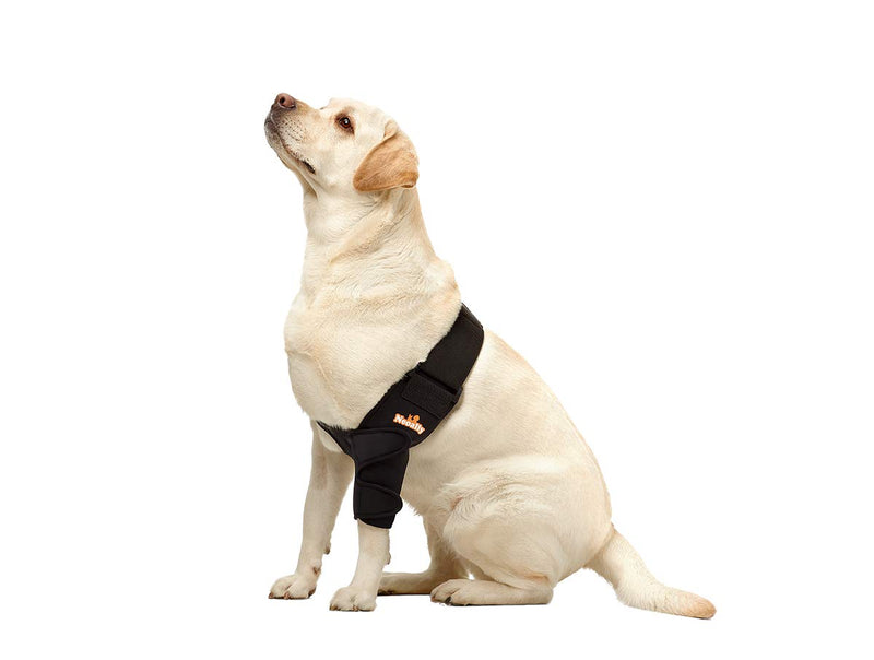 NeoAlly Dog Elbow Brace Protector Pads for Canine Elbow and Shoulder Support Elbow Hygroma, Dysplasia, Osteoarthritis, Elbow Calluses, Pressure Sores and Shoulder Dislocation (Left Leg, Large) Left Leg