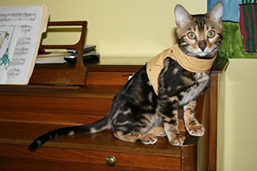 Mynwood Cat Jacket/Harness Caramel Kitten up to 8 month - PawsPlanet Australia