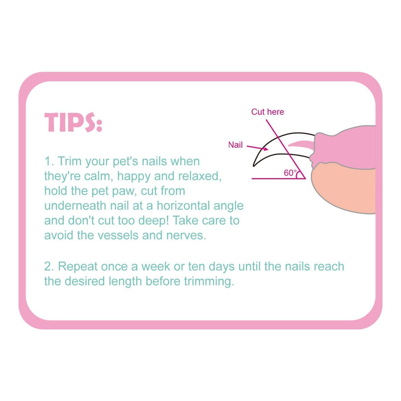 Cat Nail Clippers, Cat Claw Trimmer for Pet Grooming Tool, Easy Cutting Cat Claw Clippers, Dog Nail Clippers, Angled Blade Sharp Claw Scissors for Small Animals Rabbit Puppy Kitten Pink - PawsPlanet Australia