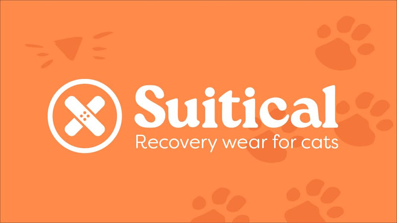 Suitical Cat Recovery Suit for Spay, Neuter, Suture, Incision, & Skin Conditions - Breathable Fabric with Back Opening - 15.7-17.7 Inches Neck to Tail, 18-24 Inches Chest - XS, Tiger Print - PawsPlanet Australia