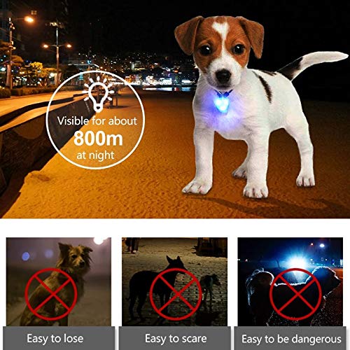 Avando Dog Collar Light, Dog Lights for Might Walking Waterproof Silicon LED Dog Collar Safety Night Walking Lights for Dog and Cat - Batteries Included (3 pcs) Red, Green, Blue - PawsPlanet Australia