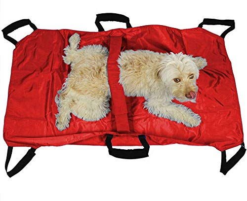 Transport Stretcher for Dogs | Emergency Animal Carrier with Safety Strap | 250 Pound Weight Limit | Pet Stretcher Size: 47 L X 29 W inches Pet Carrier (Blue) - PawsPlanet Australia