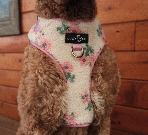 Lucy & Co. The in Full Bloom No-Pull Dog Harness for Dogs – Comfortable Leash Training Product w/Adjustable Chest & Neck Straps - Floral Teddy Fleece - X-Large - PawsPlanet Australia