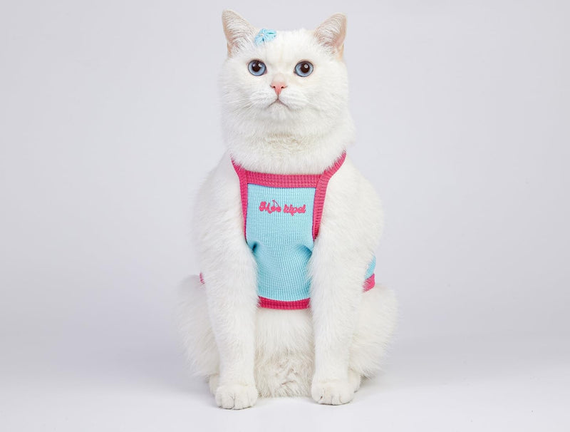 Dog Sleeveless Knit Vest.Perfect for Small/Medium Male and Female Dogs and Cats. Rocking a Cute, All-American Sweetheart Vibe. Colors: Blue and Yellow. (Blue, X-Small) - PawsPlanet Australia