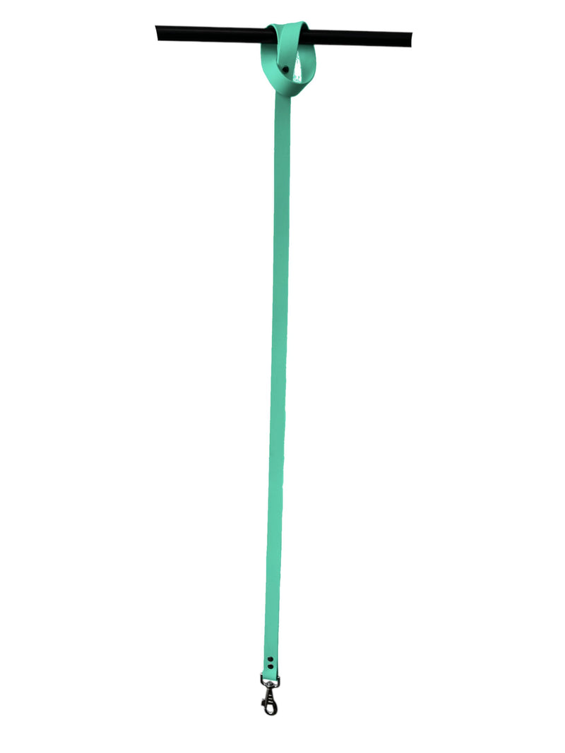 L'Atelier du Fourmilier Dog Leash in BioThane material, Width 25 mm (Caribbean Green)