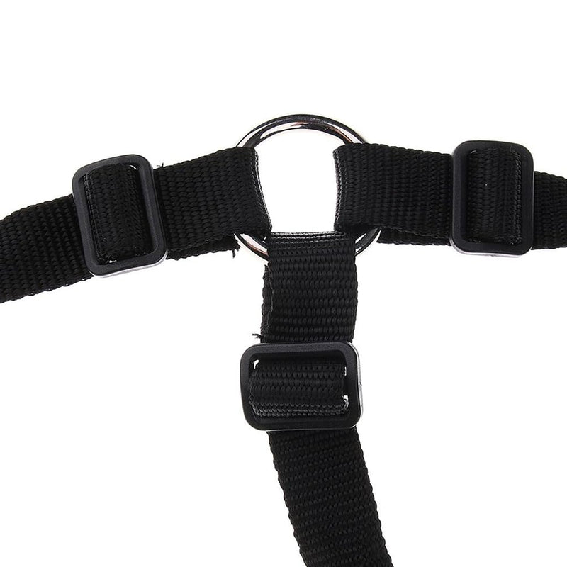 Grazing Muzzle, Horse Grazing Muzzle with Halter, Easy Breathe Comfort Lined Grazing Muzzle, Full Adjustable Horse Grazing Muzzle with Chin Neck Pads for Comfort Black Medium Size One Size - PawsPlanet Australia