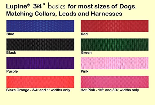 LupinePet Basics 3/4" Black 14-20" Martingale Collar for Medium and Larger Dogs 3/4"W; 14-20"Neck - PawsPlanet Australia