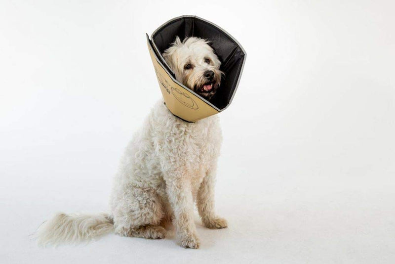 All Four Paws Comfy Cone Pet Cone for Dogs, Cats, Medium, Tan - Comfortable Soft Dog Cone Collar Alternative for After Surgery, Wound Care, Spay, Neuter - Dog and Cat Recovery Collar M(Neck to Nose 8") - PawsPlanet Australia