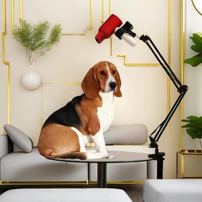 Dog Hair Dryer Holder, Pet Grooming Table Hair Dryer Stand Hands-Free 360° Rotating Blow Dryer Holder with Adjustable Clamp Mount - PawsPlanet Australia