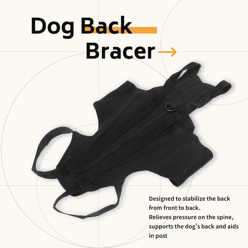 Dog Back Brace for Slipped Disc and Dog Arthritis Support, IVDD Dog Supplies, Dachshund Back Support, Back Brace for Dogs with Back Disease and IVDD [Includes 5 Dog Teeth Cleaning Wipes] (L) L - PawsPlanet Australia