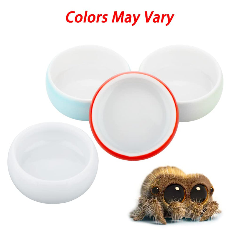 4 Pcs Hermit Crab Colorful Food Bowl Tarantula Water Bowl Spider Micro Ceramic Dish