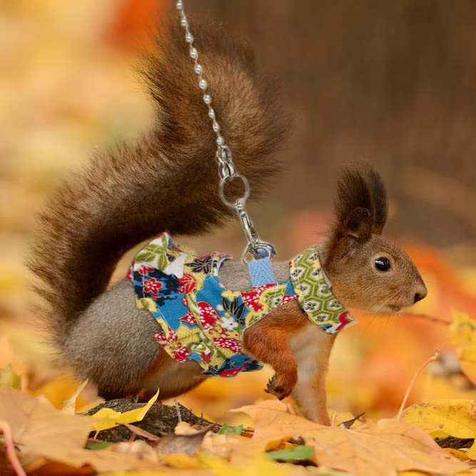 Squirrel Leash and Harness Vest Set, Adjustable Flora Small Animal Traction Rope Strap for Ferret, Squirrel, Dwarf Chinchilla, Guinea Pig, Fancy Rat Blue Printing - PawsPlanet Australia