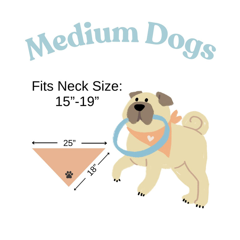 Baby Security in Training Dog Bandana Pregnancy Announcement Natural Cream Minimal Style (Large) Large - PawsPlanet Australia