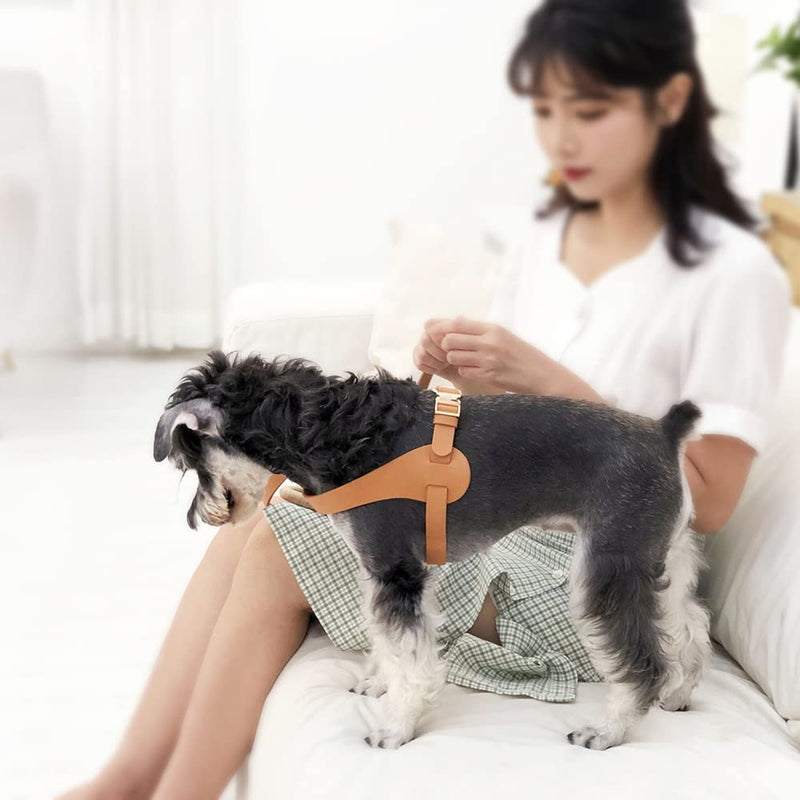 Fashionable Microfiber Leather Dog Harness -[X903] Escape Proof Dog Easy On Easy Off Soft Waterproof Harness with Luxury Durable Golden Hardware Puppy for Litter Small and Middle Small-Chest:12.6~15.7Inch Harness:PeachPink - PawsPlanet Australia