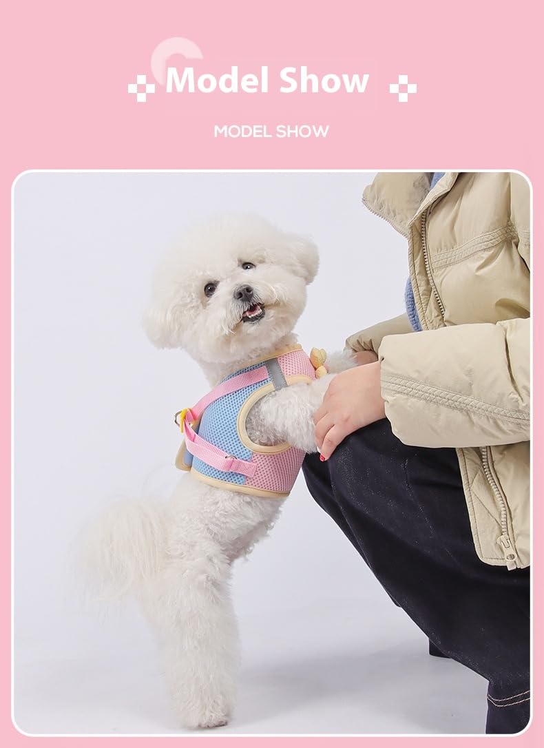 Floral Mesh Dog Harness with Matching Leash, Summer Lightweight Pet Vest, Pink/Yellow (Pink, M:8-12lbs) - PawsPlanet Australia