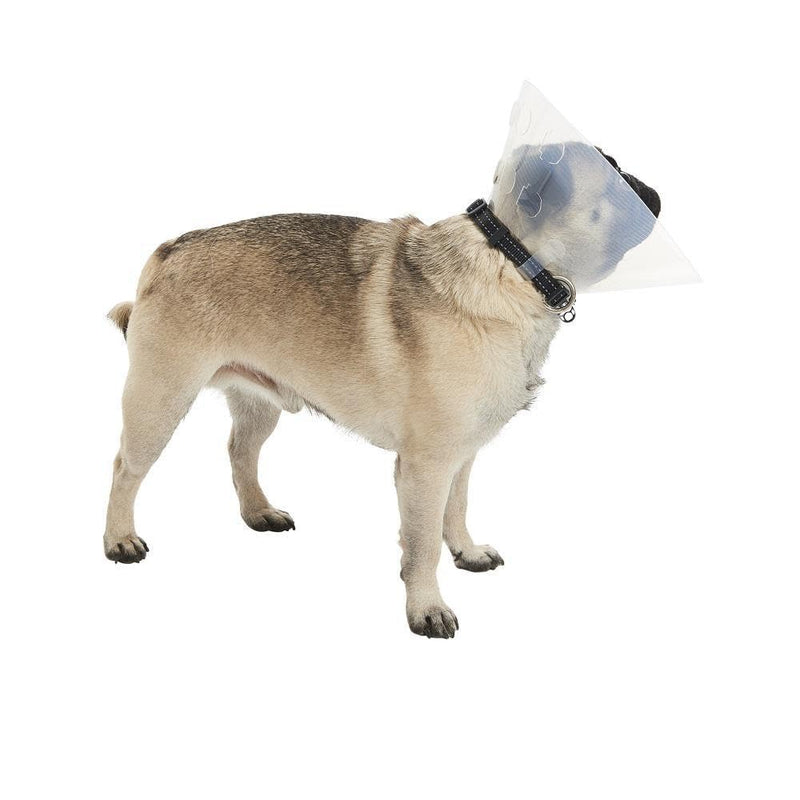 Buster Short Snout Collar - S