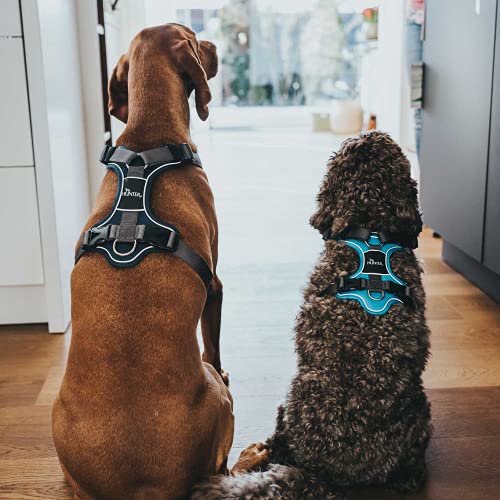 HUNTER Divo Dog Harness, M, 56-73 cm, Light Blue/Grey