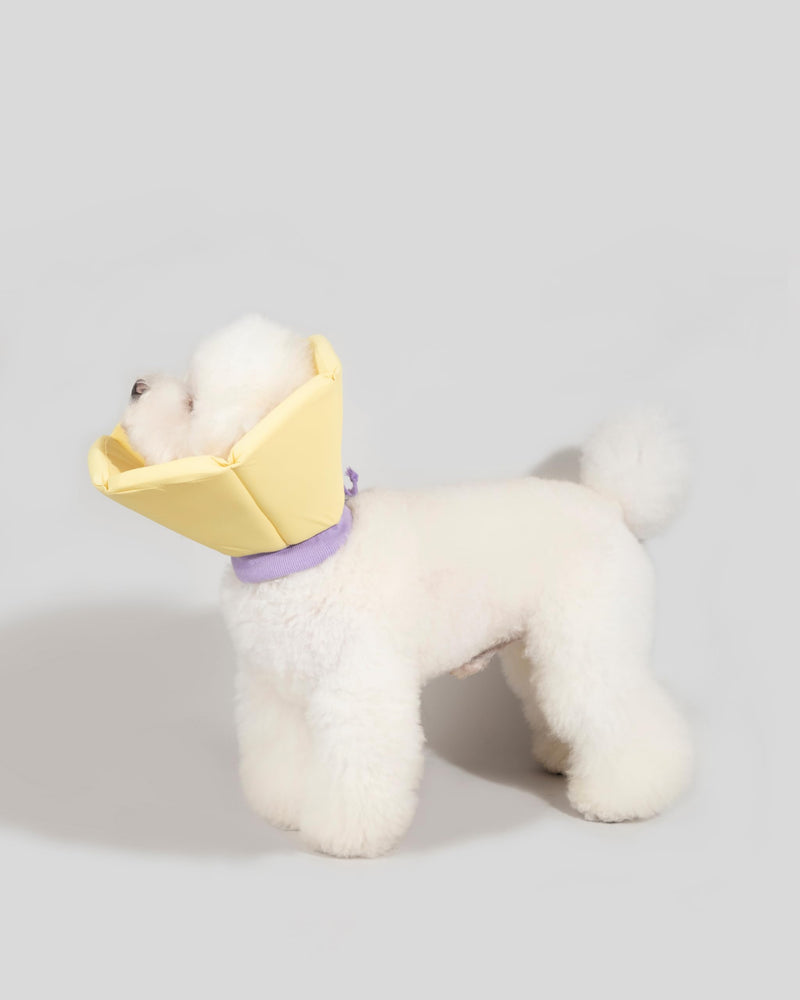 Lightweight Cat Cone Collar, Waterproof Soft Recovery E-Collar for Cats & Small Dogs, Adjustable Protective Elizabethan Collar to Prevent Licking & Biting, Easy-Clean Quick-Dry Design, Yellow M Size