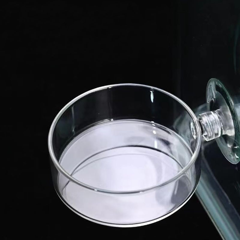 2 Pack 60mm Aquarium Shrimp Feeder Dish with Suction, Round Clear Fish Tank Food Tray Container, Feeder Bowl, Prevent Food Spilling - PawsPlanet Australia