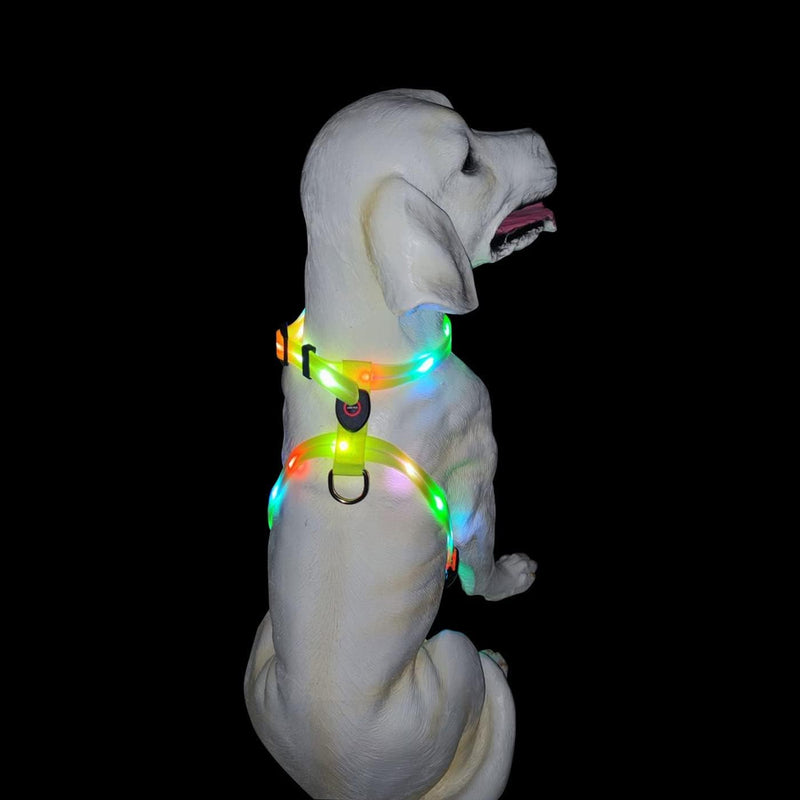 Light Up Dog Harness for Medium Dogs Lighted Dog Harness Rechargeable Waterproof Illuminated Glow in The Dark Light up Dog Vest LED - PawsPlanet Australia