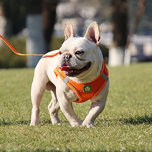 Dog Harness All Weather Small and Medium Dogs Leash Vest Harness with Super Breathable Mesh (Pink, Large (11-15.4 pounds)) Large (11-15.4 pounds) Pink - PawsPlanet Australia
