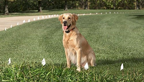 Small Blue Bubbles Replacement Containment and Training Dog Collar Strap with RFA-67 Batteries - Compatible with Most PetSafe In-Ground Fence, Wireless Fence Receiver, and Training Collars (Bundle 2)