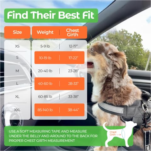 Joyride Basic Essential Dog Harness 1.0 - Small, Medium, Large Dogs, No-Pull Pet Vest with 3 Side Rings for Leash Placement, Adjustable for Training (Teal, L) Teal - PawsPlanet Australia