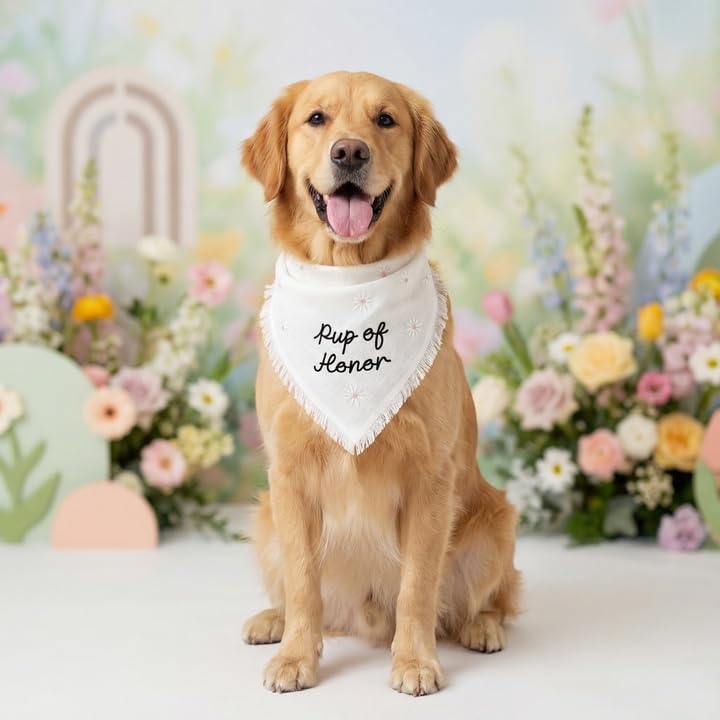 Two Tails Pup of Honor Wedding Dog Bandana, Tie-on Pet Scarf for Boy or Girl Dogs and Puppies, Wedding Dog Accessories, Engagement Gift, or Photo Prop, Breathable Linen and Viscose Fabric, Size Large - PawsPlanet Australia