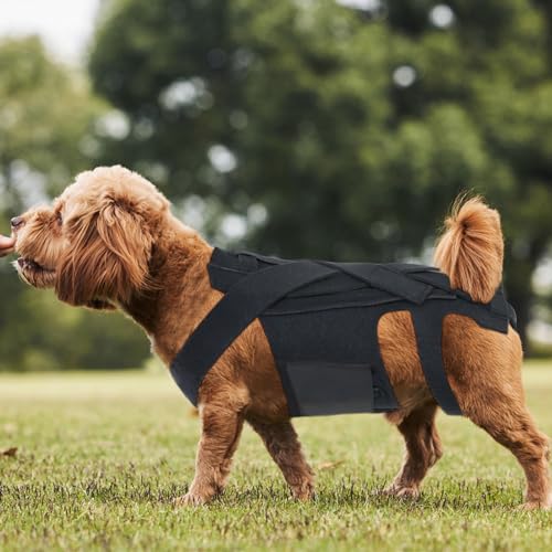 Dog Back Brace, Adjustable Dog Back Brace, Comfortable, Durable Dog Back Brace, Recovery Bandage After Spine Surgery, Herniated Disc (S)