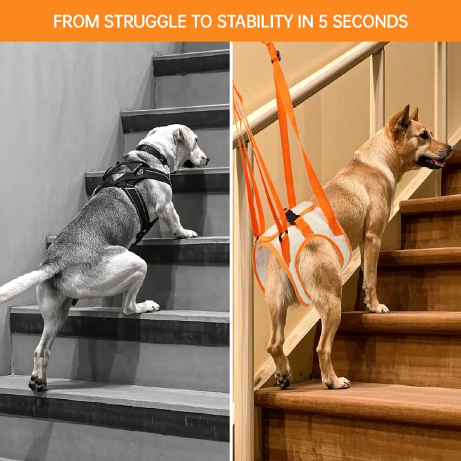 Paralyzed Dog Harness with Hind Leg Support - Small Sized Dog Sling, Adjustable Lift Harness, Hip Dysplasia Brace & ACL Tear Aid for Elderly Dogs - Alternative to Dog Wheelchair L